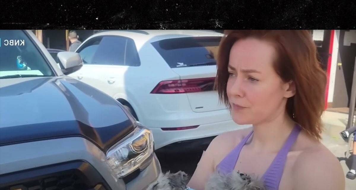 'Hunger Games' Actress Jena Malone Helps Save Dog From Abuser Top